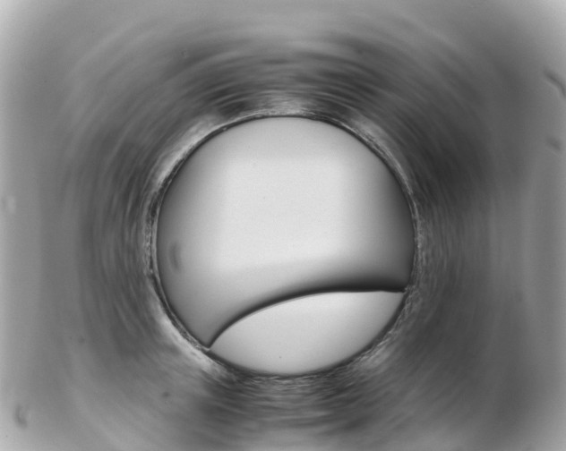 X0000103310851200808291151