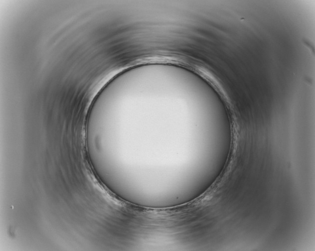 X0000103310852200808291151
