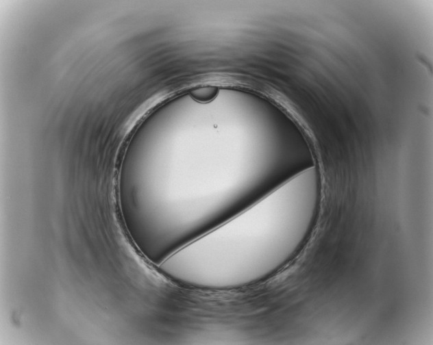 X0000103310853200808291151