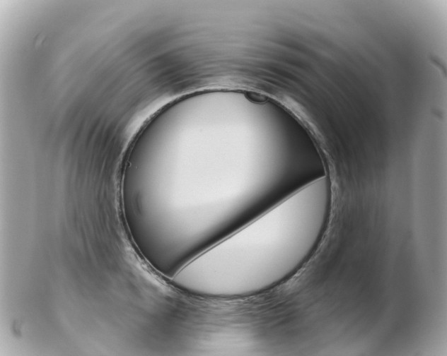 X0000103310854200808291151