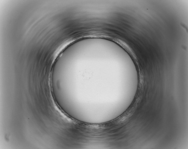 X0000103310855200808291151