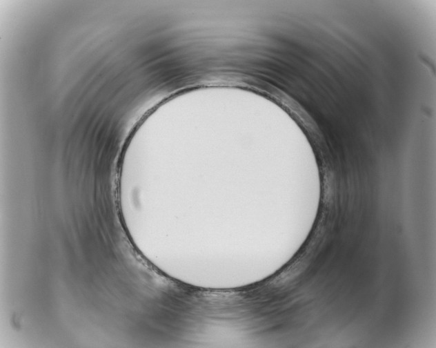 X0000103310856200808291151