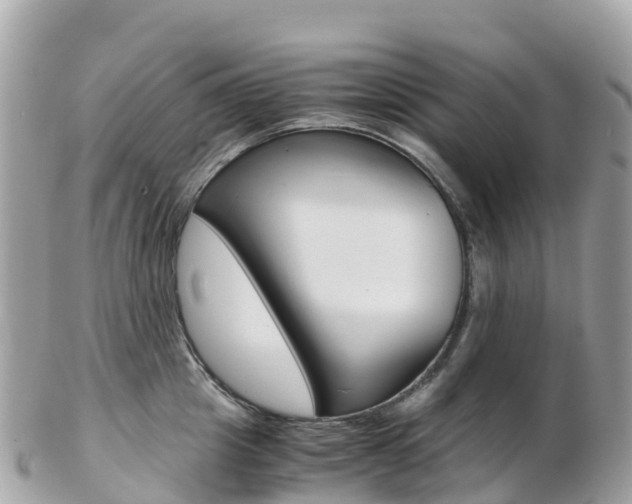 X0000103310857200808291151