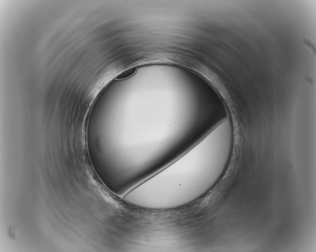 X0000103310858200808291151