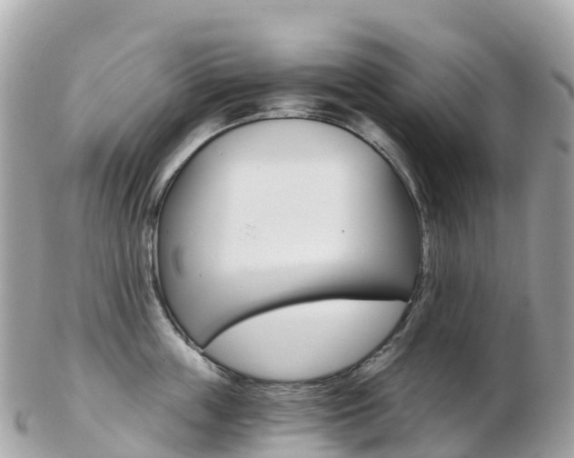 X0000103310859200808291151