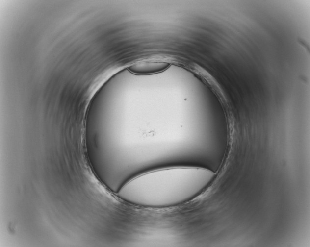 X0000103310860200808291151