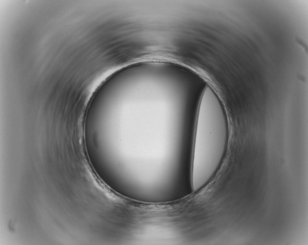 X0000103310862200808291151
