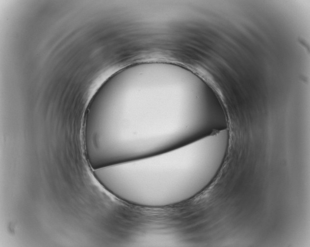X0000103310863200808291151