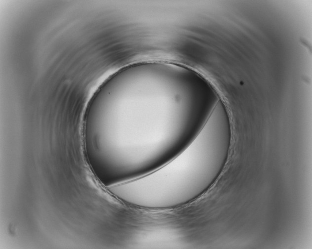 X0000103310864200808291151