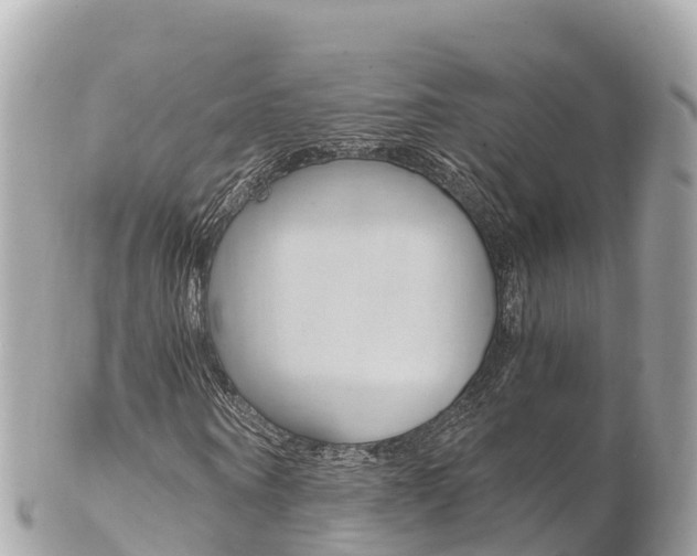 X0000103310866200808291150