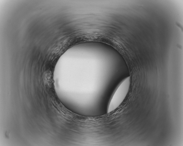 X0000103310867200808291150