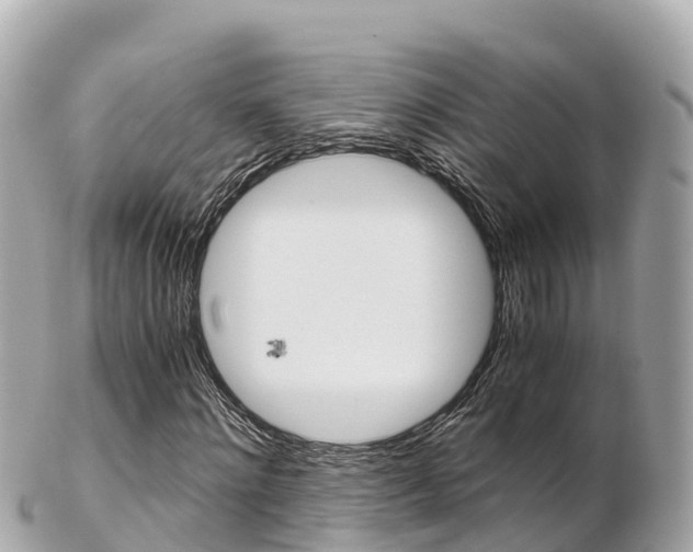 X0000103310868200808291150