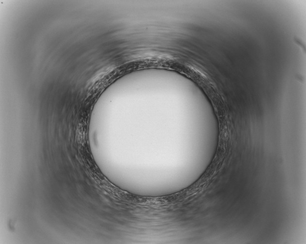 X0000103310869200808291150