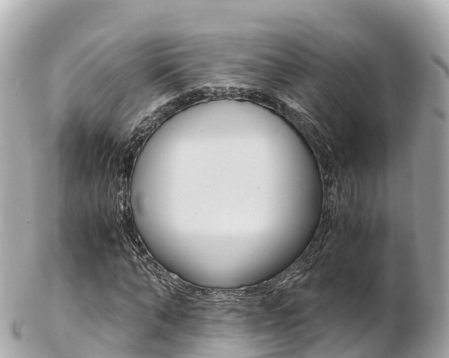 X0000103310870200808291150