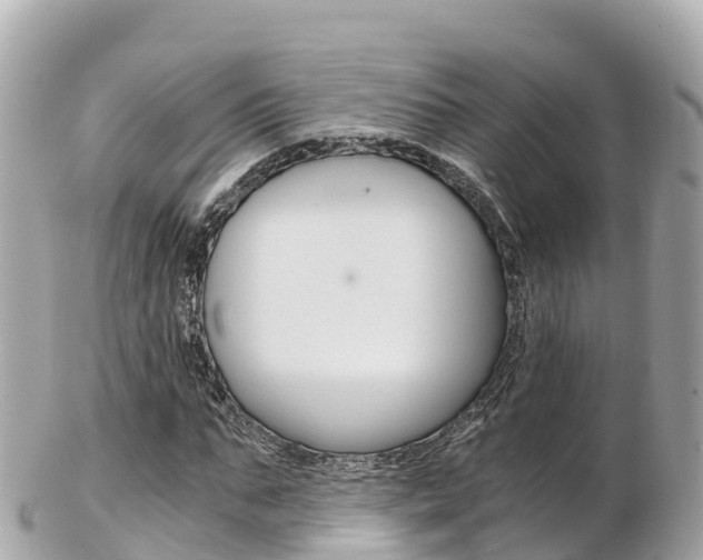 X0000103310871200808291150
