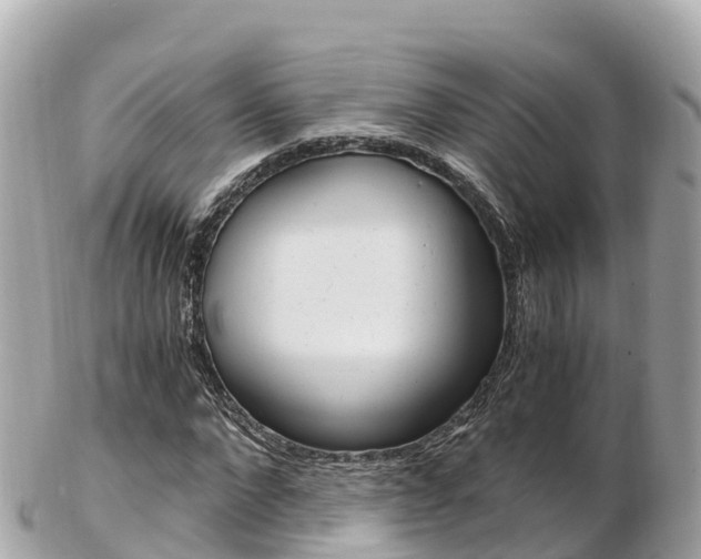 X0000103310872200808291150