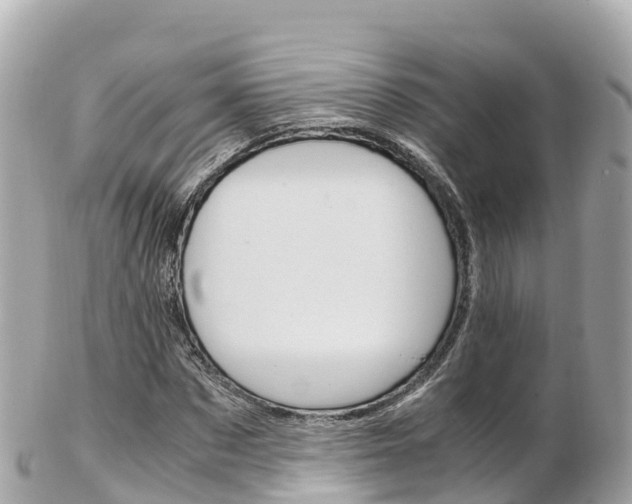 X0000103310873200808291150