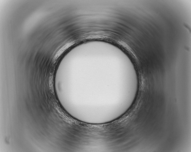 X0000103310874200808291150