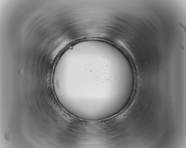 X0000103310875200808291150