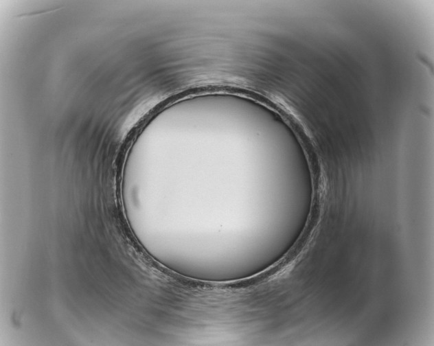 X0000103310877200808291150