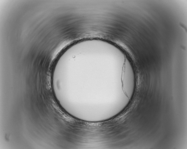 X0000103310878200808291150