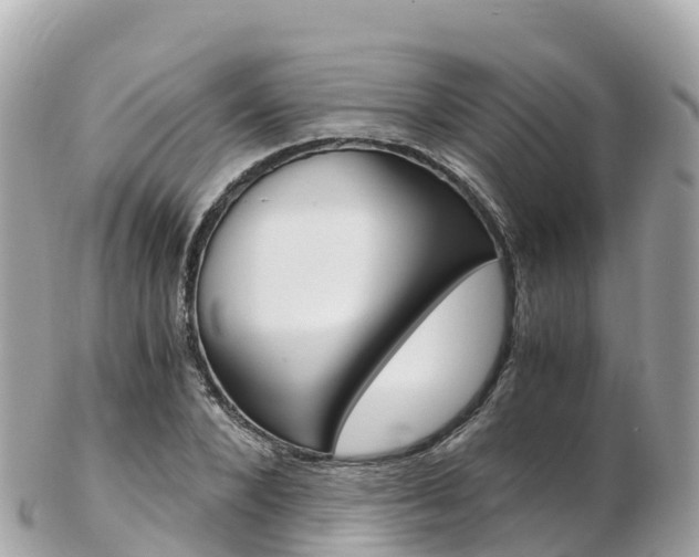 X0000103310880200808291150