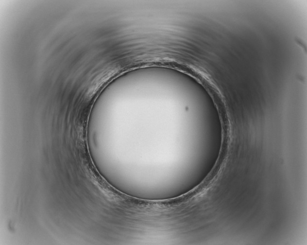 X0000103310881200808291150