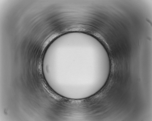 X0000103310882200808291150