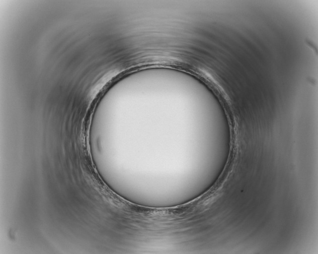 X0000103310883200808291150