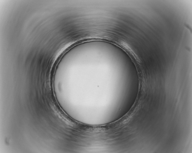 X0000103310884200808291150