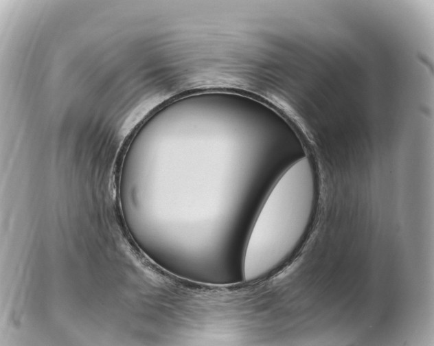 X0000103310885200808291150