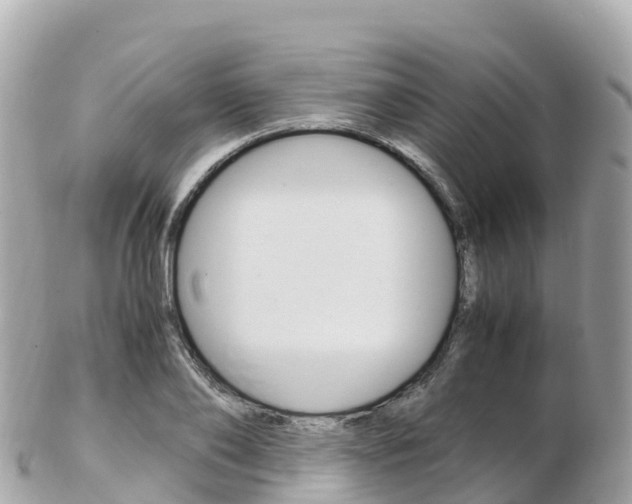 X0000103310886200808291150