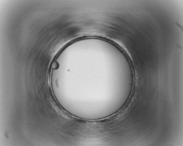X0000103310887200808291150