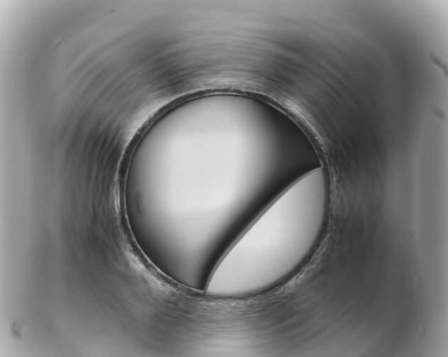 X0000103310888200808291150