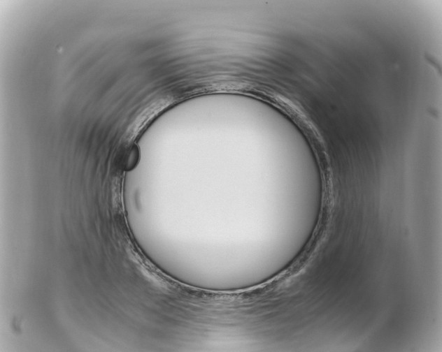 X0000103310889200808291150