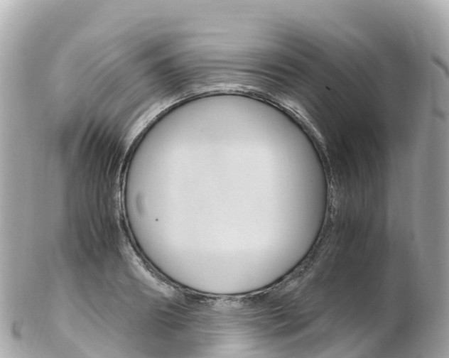 X0000103310890200808291150
