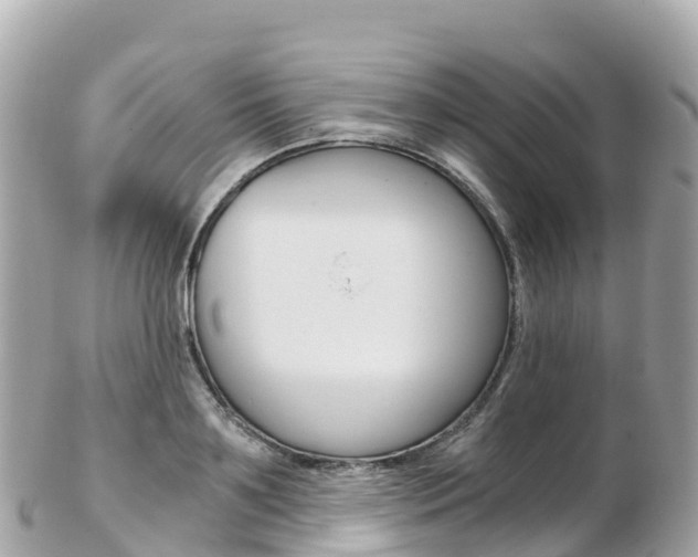 X0000103310891200808291150