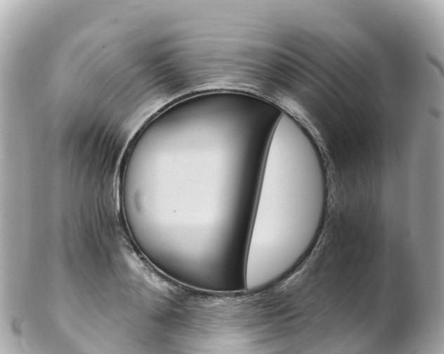 X0000103310892200808291150