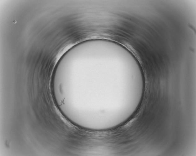 X0000103310893200808291150