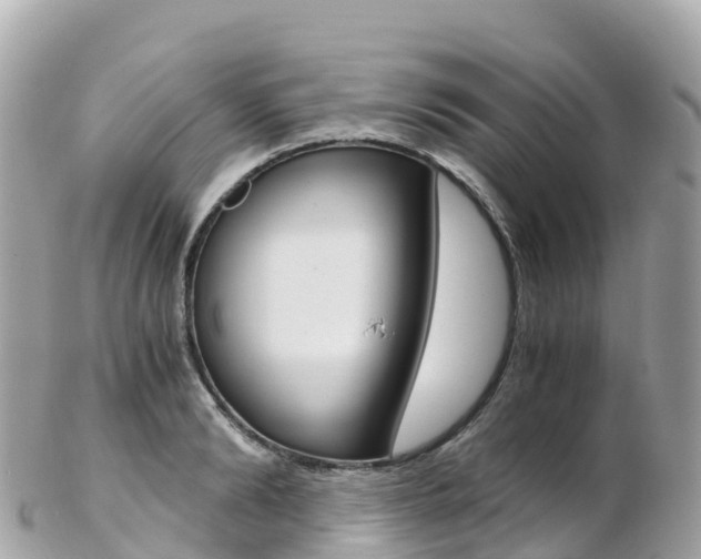 X0000103310894200808291150