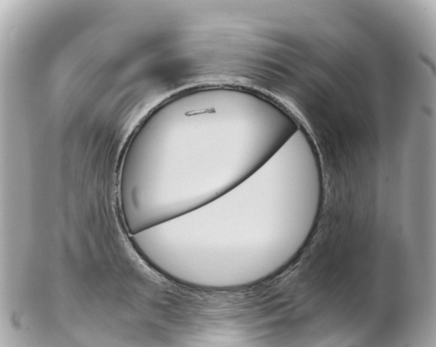 X0000103310895200808291150