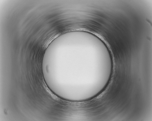 X0000103310897200808291150