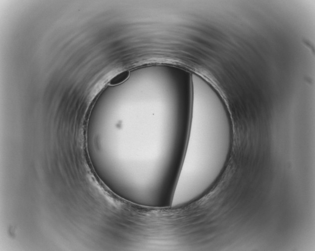 X0000103310898200808291150
