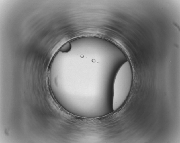 X0000103310899200808291150