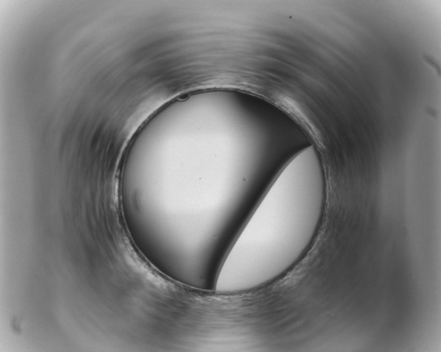 X0000103310900200808291150