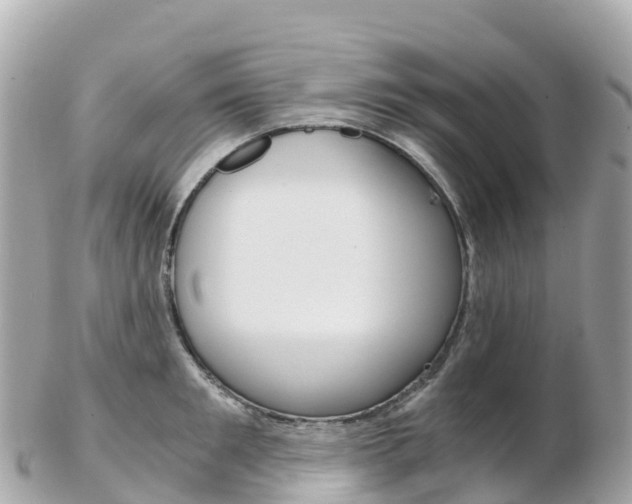 X0000103310901200808291150