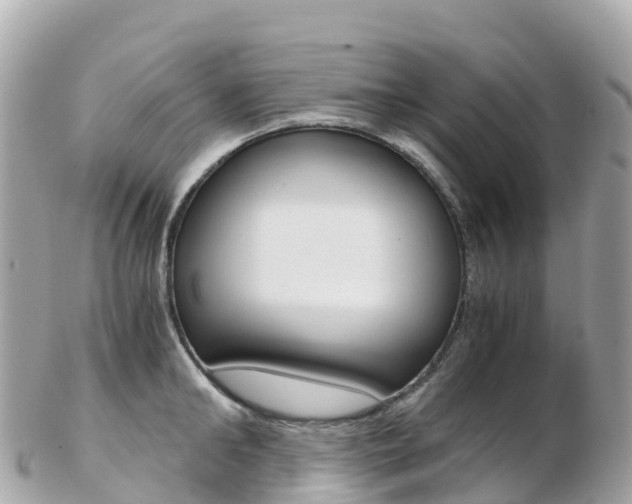 X0000103310902200808291150
