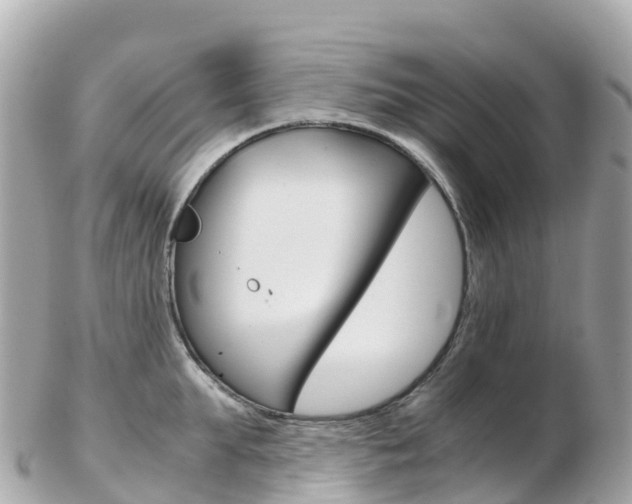 X0000103310903200808291150