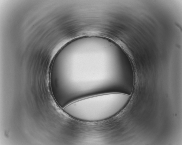 X0000103310904200808291150