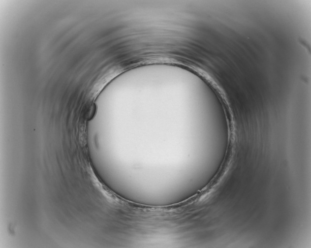 X0000103310905200808291150
